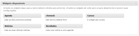 No painel de administração, com os widgets nativos já removidos